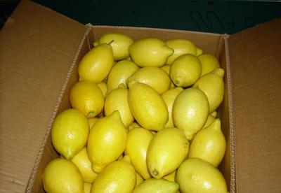 【新西蘭檸檬代理 清關(guān)服務(wù)代理 北京上海專業(yè)報(bào)關(guān)行為您服務(wù)】價(jià)格_廠家_圖片